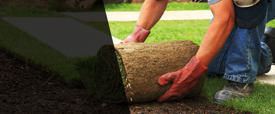 Greensboro Landscapers